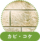 カビ・コケ